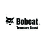 bobcat